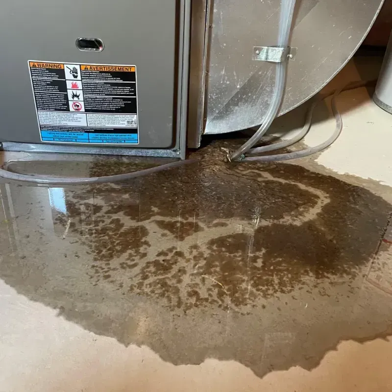 Appliance Leak Cleanup in Hogansville, GA